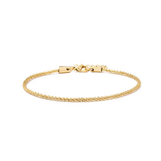 【IA1044】ドロップシッピング 14K ゴールドメッキ ステンレススチール チェーンアンクレットチェーン 足元用 ファインジュエリー アンクレット 女の子用
